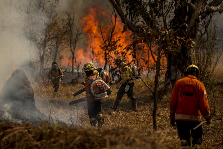 Brigadistas e bombeiros combatem incêndio em área de cerrado, em Brasília