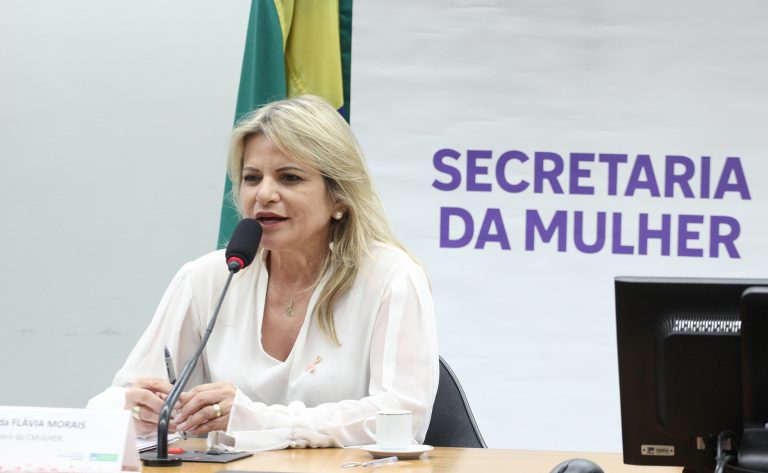 Seminário - Prevenção, detecção e tratamento dos cânceres do colo uterino e de mama. Dep. Flávia Morais (PDT - GO)