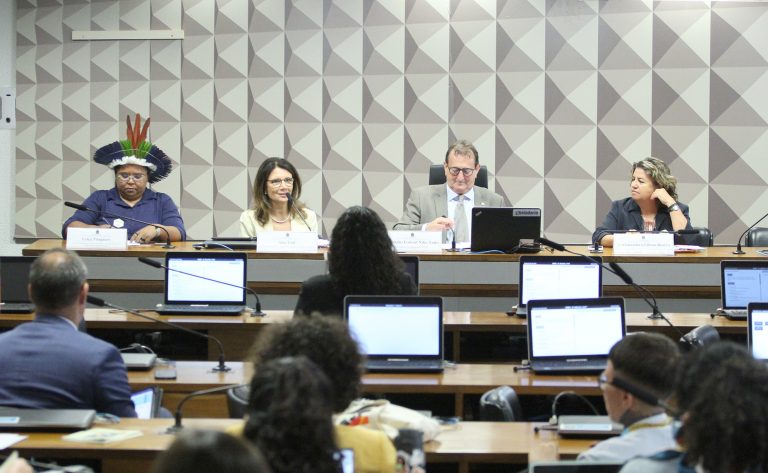 Audiência Pública - Preparatória para 29ª Conferência das Nações Unidas sobre as Mudanças Climáticas (COP29). Secretária Nacional de Gestão Ambiental e Territorial Indígena do Ministério dos Povos Indígenas, Ceiça Pitaguary; Secretária de Mudança Climática do Ministério do Meio Ambiente, Ana Toni; Dep. Nilto Tatto (PT - SP); Diretora do Departamento do Clima do Ministério das Relações Exteriores, Embaixadora Liliam Beatris.