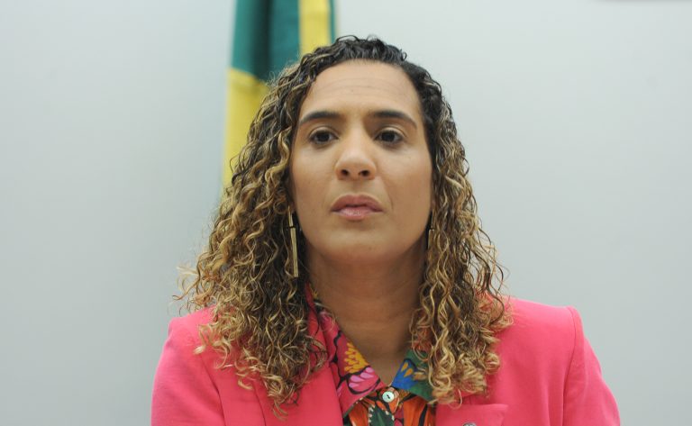 Seminário - Justiça Racial no Cenário Internacional: Recomendações da ONU e Desafios para o Brasil. Ministra da Igualdade Racial, Anielle Franco