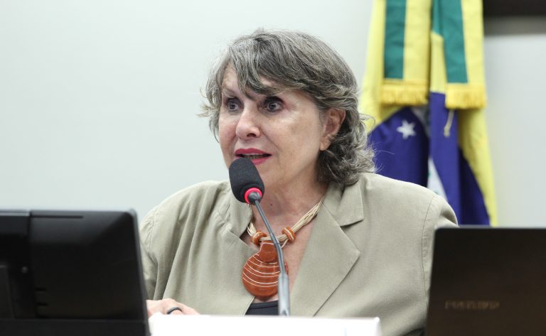 Instalação e Eleição de comissão executiva. Dep. Erika Kokay (PT-DF)