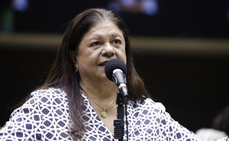 Deputada Laura Carneiro fala ao microfone. Ela é branca, tem o cabelo comprido e escuro, veste uma blusa preta com desenhos brancos