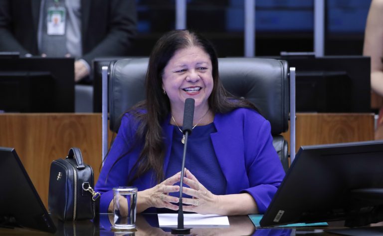 Deputada Laura Carneiro fala ao microfone