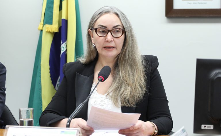 Deputada Daniela Reinehr fala ao microfone