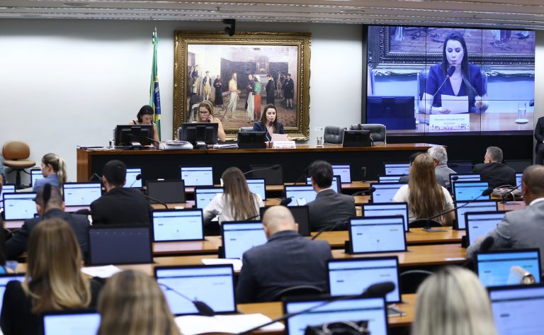 Discussão e votação de propostas legislativas. Dep. Caroline de Toni (PL - SC)