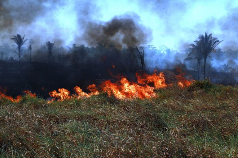 Meio ambiente - queimada e desmatamento - incêndios florestais em Rondônia (22/8/19)