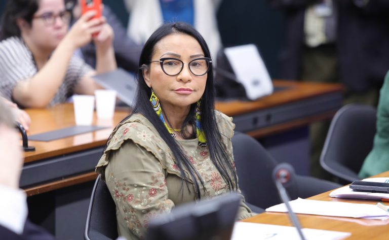 Reunião de comparecimento de Ministra. Dep. Silvia Waiãpi (PL - AP)