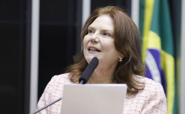 Deputada Fernanda Pessoa (União-CE) fala no Plenário da Câmara dos Deputados