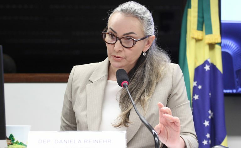 Deputada Daniela Reinehr fala ao microfone