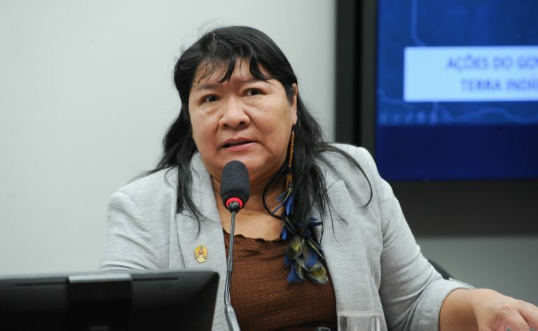 Audiência Pública. Presidente da Fundação Nacional dos Povos Indígenas - FUNAI - Fundação Nacional dos Povos Indígenas - FUNAI, Joenia Wapichana.