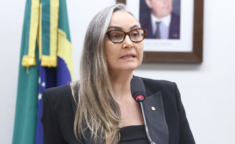 Audiência Pública - Debate sobre o Cadastro Ambiental Rural (CAR) e o Georreferenciamento de Imóveis Rurais. Dep. Daniela Reinehr (PL - SC)