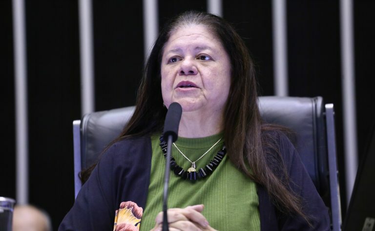 Homenagem ao Dia Nacional do Assistente Social. Dep. Laura Carneiro (PSD-RJ)