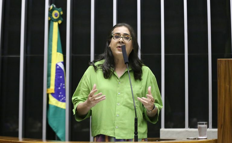 Discussão e Votação de Propostas Legislativas. Dep. Duda Salabert (PDT-MG)