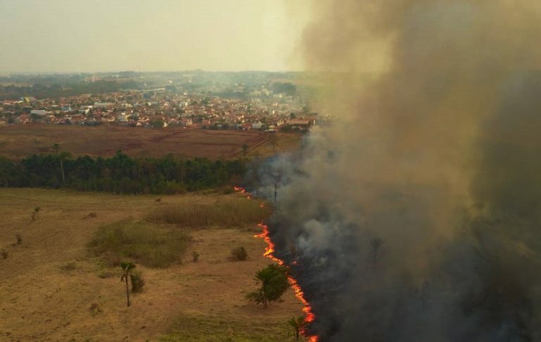 Meio Ambiente - queimada e desmatamento Incêndio no Pantanal em 2020