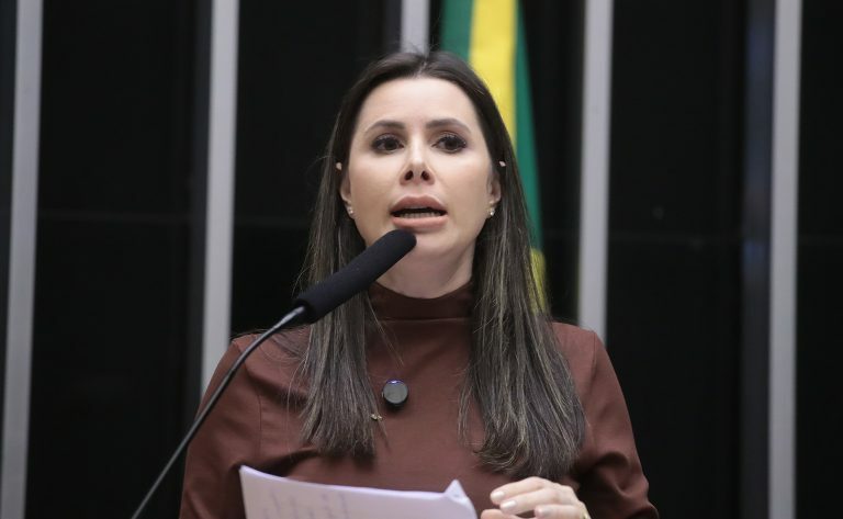 Discussão e Votação de Propostas Legislativas. Dep. Caroline de Toni (PL - SC)