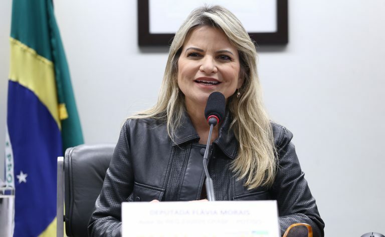 Audiência Pública - Vulnerabilidade de crianças e adolescentes na internet. Dep. Flávia Morais (PDT-GO)