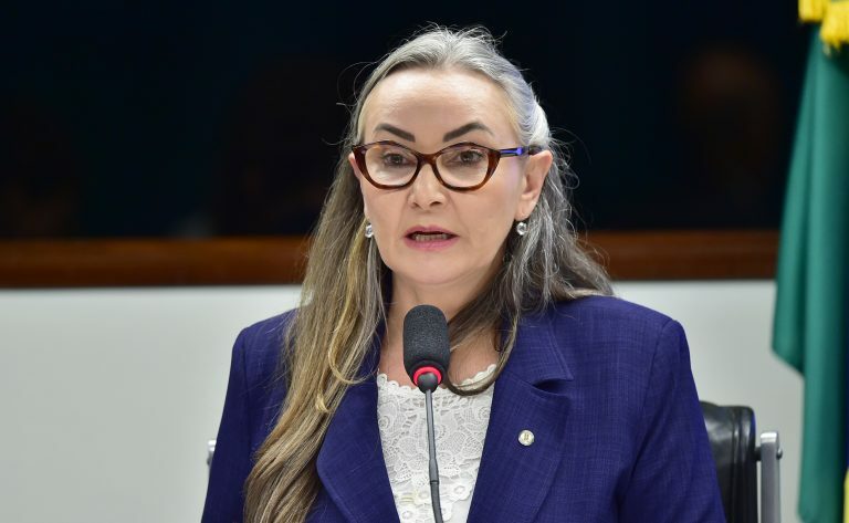Audiência Pública - Linha Férrea Tronco Sul Lages/SC. Dep. Daniela Reinehr (PL - SC)