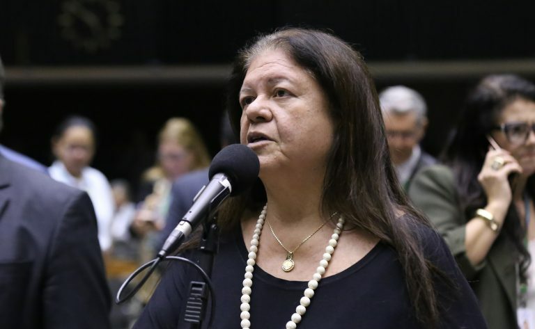 Deputada Laura Carneiro fala ao microfone
