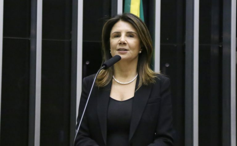 COP30 diante dos desafios ambientais em curso no Parlamento Brasileiro. Diretora Executiva da COP 30 no Brasil, Ana Amélia Campos Toni