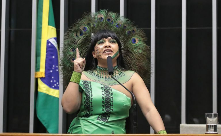 Discussão e Votação de Propostas Legislativas. Dep. Célia Xakriabá (PSOL - MG)