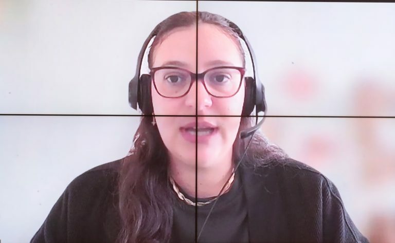 Seminário Interativo - Violência redes sociais e ambiente virtual. Secretaria Executiva do Conselho Nacional dos Direitos da Criança e do Adolescente - Conanda, Ana Cifali