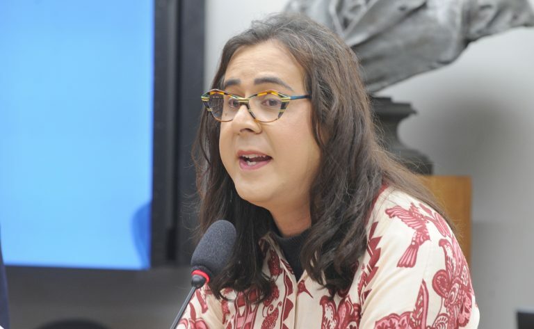 Audiência Pública – Preparativos para a realização da 30ª Conferência sobre as Mudanças Climáticas. Dep. Duda Salabert (PDT - MG)