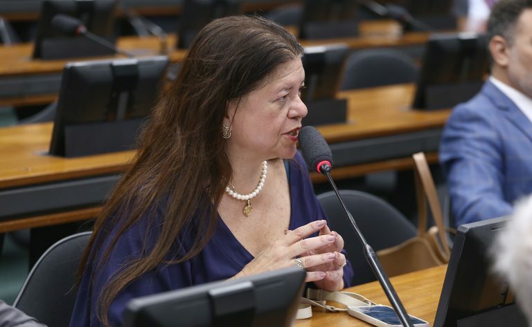 Discussão e votação de propostas legislativas. Dep. Laura Carneiro (PSD - RJ)