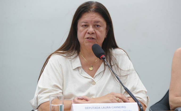 Seminário - Debater a parentalidade e celebrar o Dia Internacional da Família (15 de maio de 2025). Dep. Laura Carneiro (PSD-RJ)