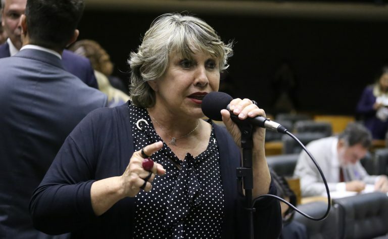 Discussão e Votação de Propostas Legislativas. Dep. Erika Kokay (PT - DF)