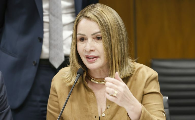 Reunião de Líderes. Dep. Socorro Neri (PP - AC)