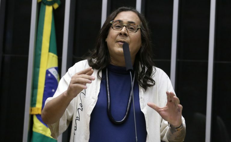 Discussão e votação de propostas legislativas. Dep. Duda Salabert (PDT - MG)