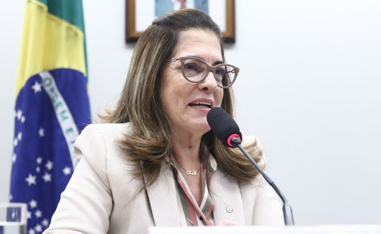 Audiência Pública - Prevenção no ambiente online. Dep. Rogéria Santos (REPUBLICANOS - BA)