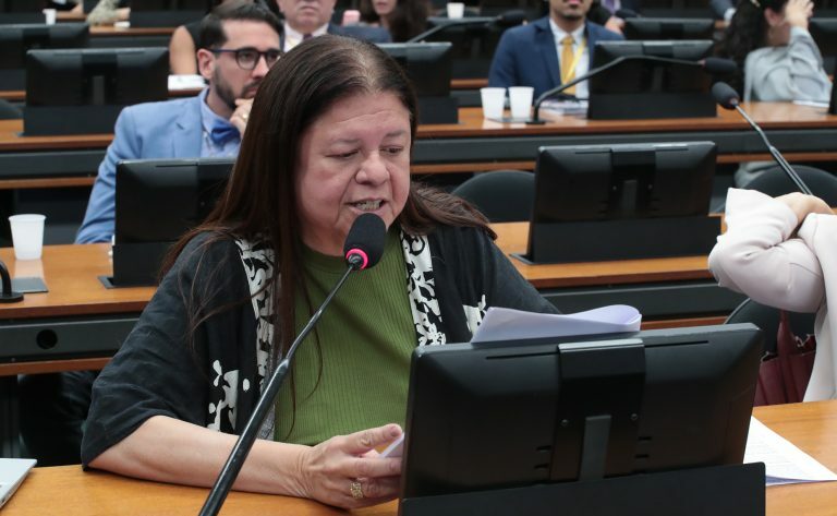 Deputada Laura Carneiro (PSD-RJ) na Comissão de Constituição e Justiça e de Cidadania da Câmara dos Deputados