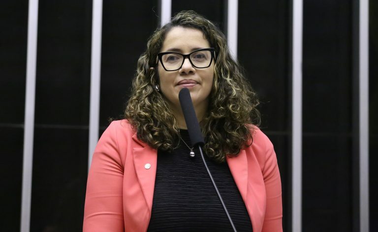 Discussão e votação de propostas legislativas. Dep. Denise Pessôa (PT-RS)