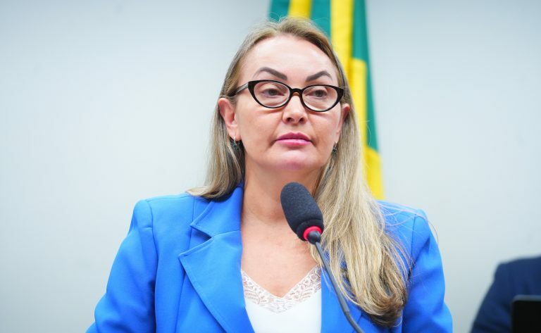 Deputada Daniela Reinehr (PL-SC) em comissão da Câmara dos Deputados