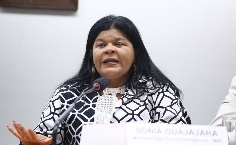 Audiência Pública - A Participação dos Povos Indígenas nas decisões envolvendo a COP30. Ministra de Estado dos Povos Indígenas, Sônia Guajajara