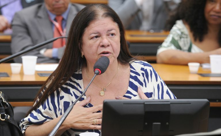 Audiência Pública - Sistema Penitenciário e atuação de organizações criminosas em presídios. Dep. Laura Carneiro (PSD - RJ)