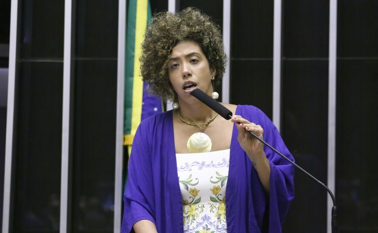 Talíria Petrone discursa no plenário