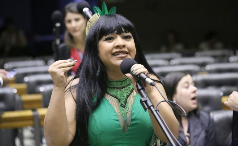 Discussão e votação de propostas legislativas. Dep. Célia Xakriabá (PSOL - MG)