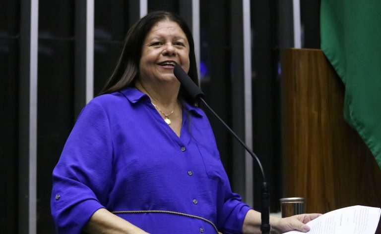 Discussão e votação de propostas legislativas. Dep. Laura Carneiro (PSD - RJ)