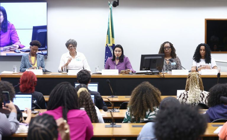 Audiência Pública - Jovens Mulheres Negras e o Direito ao Trabalho Digno
