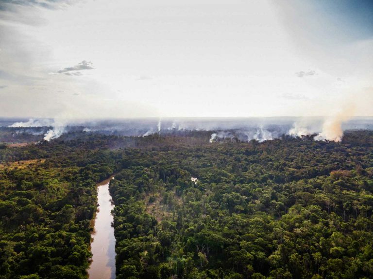 Meio Ambiente - Queimadas e desmatamento - No Pará, a Terra Indígena Alto Rio Guamá sofreu com incêndios florestais e viu o desmatamento crescer em meio à pandemia