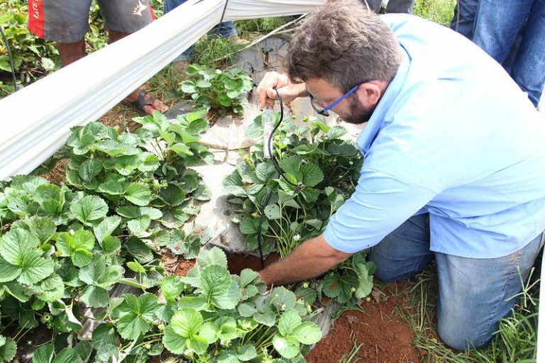 Agropecuária - geral - assistência técnica rural - Emater - Emater auxiliará produtores da Bacia do Descoberto a reduzir consumo de água - extensão rural