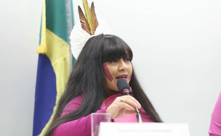 Retrospectiva 2025. Dep. Célia Xakriabá (PSOL - MG)