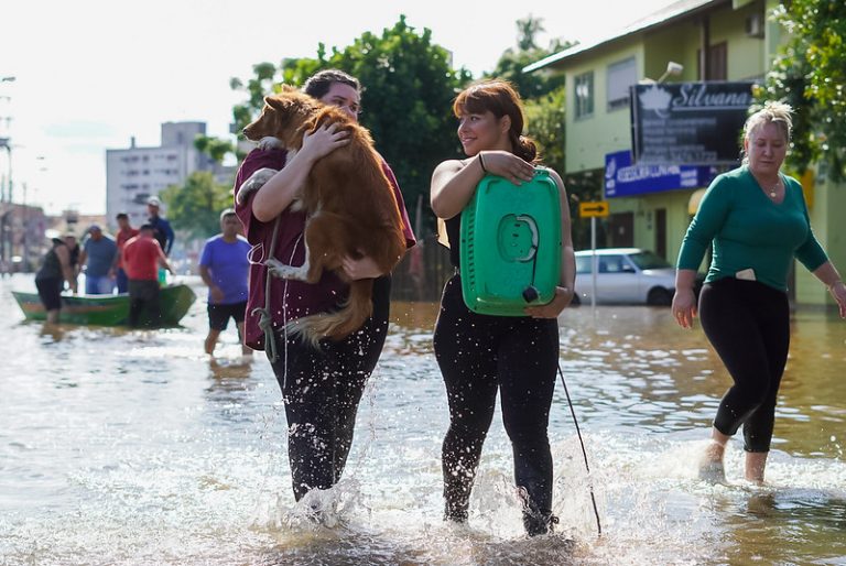Cidades - catástrofes - Resgate de animais em Canoas (RS) após enchente. Ação foi realizada pela Secretaria do Meio Ambiente e Infraestrutura e Grupo de Resgate de Animais em Resgate