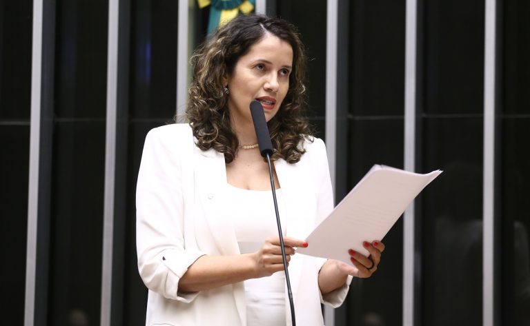 Discussão e votação de propostas legislativas. Dep. Denise Pessôa (PT-RS)