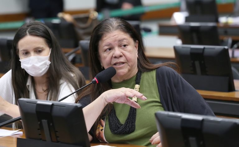 Discussão e votação de propostas legislativas. Dep. Laura Carneiro (PSD-RJ)