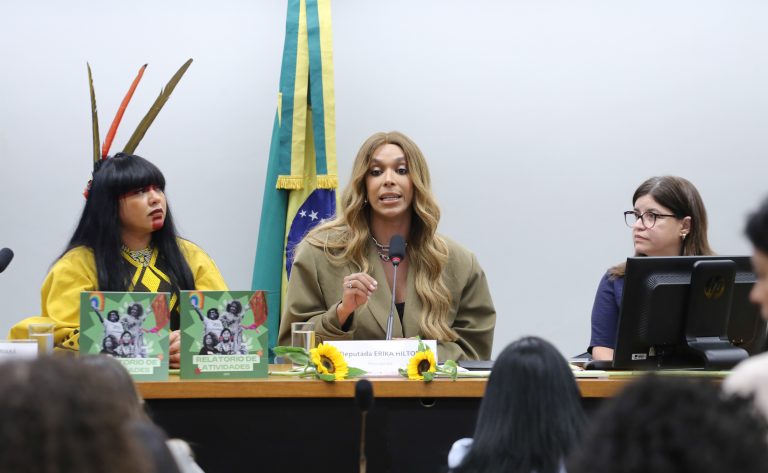 Reunião de Instalação e Eleição de Presidente e Vice-Presidentes. Dep. Célia Xakriabá (PSOL - MG). Dep. Erika Hilton (PSOL - SP)