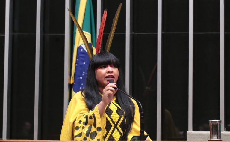 Discussão e votação de propostas legislativas. Dep. Célia Xakriabá (PSOL - MG)