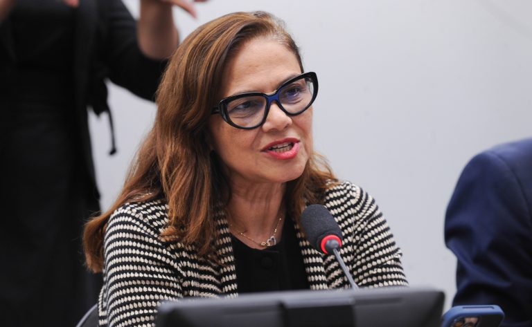 Audiência Pública - Alusão ao Dia Internacional da Síndrome de Down. Presidente - Instituto Mot 21, Giordana Garcia.